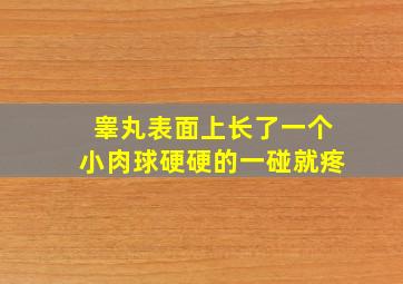 睾丸表面上长了一个小肉球硬硬的一碰就疼