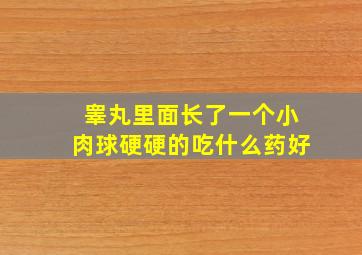 睾丸里面长了一个小肉球硬硬的吃什么药好