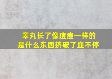 睾丸长了像痘痘一样的是什么东西挤破了血不停