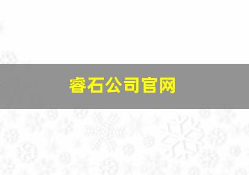 睿石公司官网