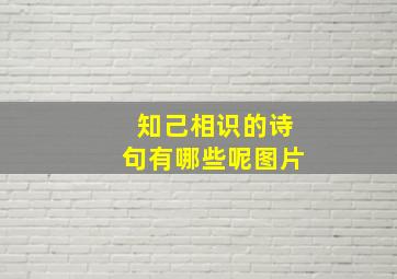 知己相识的诗句有哪些呢图片