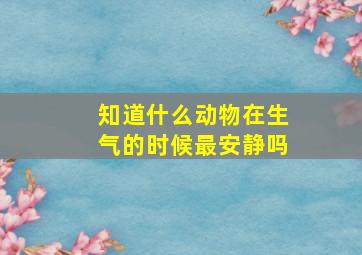 知道什么动物在生气的时候最安静吗