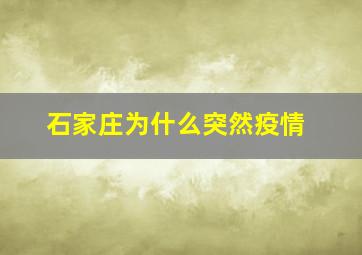 石家庄为什么突然疫情