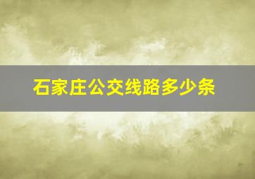 石家庄公交线路多少条