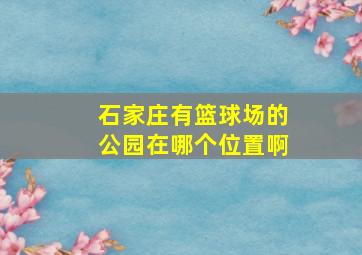 石家庄有篮球场的公园在哪个位置啊