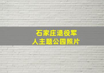 石家庄退役军人主题公园照片