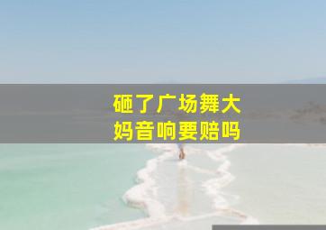 砸了广场舞大妈音响要赔吗