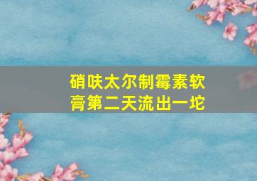 硝呋太尔制霉素软膏第二天流出一坨