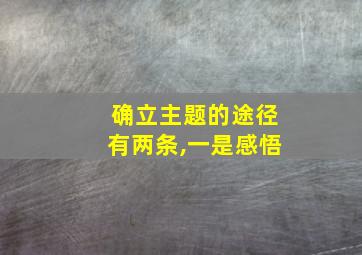 确立主题的途径有两条,一是感悟