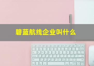 碧蓝航线企业叫什么