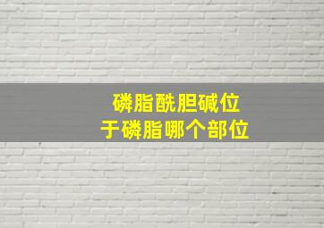 磷脂酰胆碱位于磷脂哪个部位