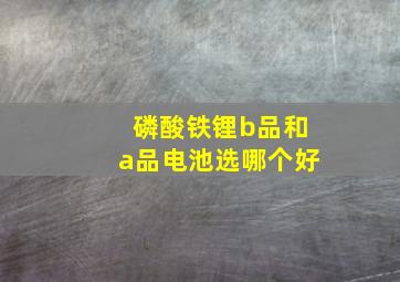 磷酸铁锂b品和a品电池选哪个好