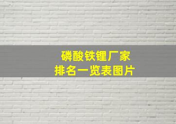 磷酸铁锂厂家排名一览表图片