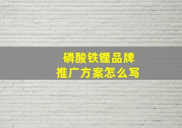 磷酸铁锂品牌推广方案怎么写