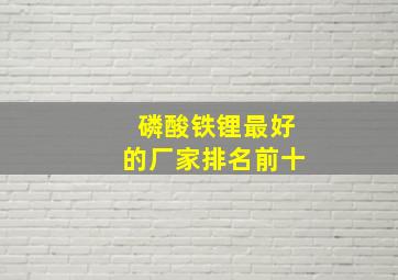 磷酸铁锂最好的厂家排名前十