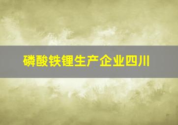 磷酸铁锂生产企业四川