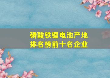 磷酸铁锂电池产地排名榜前十名企业