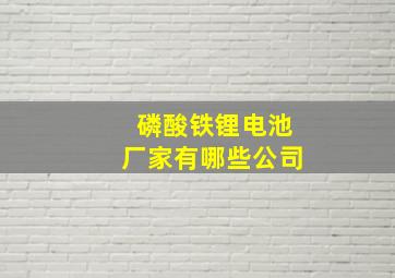 磷酸铁锂电池厂家有哪些公司