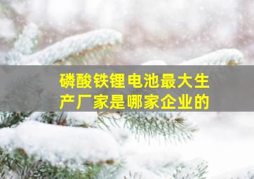 磷酸铁锂电池最大生产厂家是哪家企业的