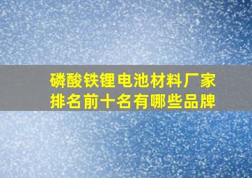 磷酸铁锂电池材料厂家排名前十名有哪些品牌