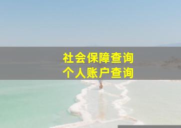 社会保障查询个人账户查询