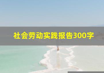 社会劳动实践报告300字