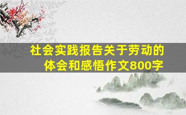 社会实践报告关于劳动的体会和感悟作文800字