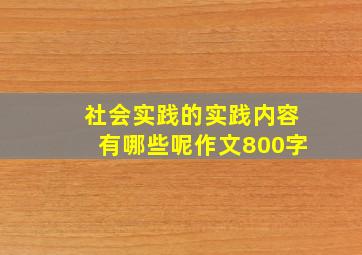 社会实践的实践内容有哪些呢作文800字