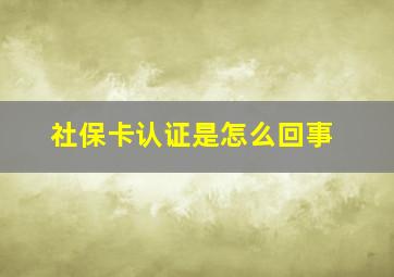 社保卡认证是怎么回事