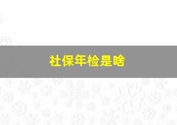 社保年检是啥