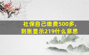 社保自己缴费500多,到账显示219什么意思