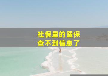 社保里的医保查不到信息了