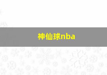 神仙球nba