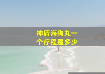 神盾海狗丸一个疗程是多少