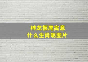 神龙摆尾寓意什么生肖呢图片