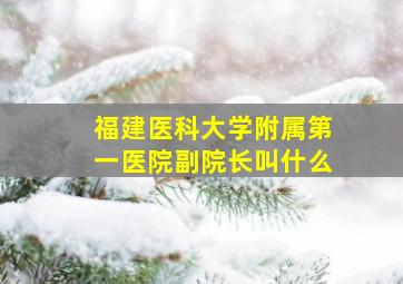 福建医科大学附属第一医院副院长叫什么