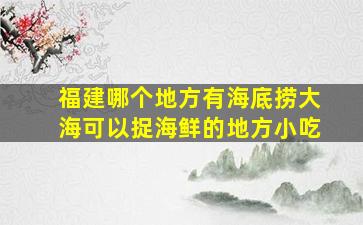 福建哪个地方有海底捞大海可以捉海鲜的地方小吃