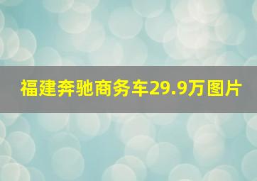 福建奔驰商务车29.9万图片