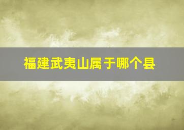 福建武夷山属于哪个县