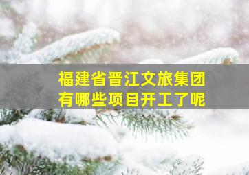 福建省晋江文旅集团有哪些项目开工了呢