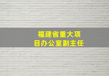 福建省重大项目办公室副主任