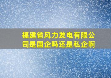 福建省风力发电有限公司是国企吗还是私企啊