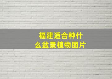 福建适合种什么盆景植物图片