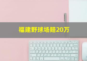 福建野球场赔20万