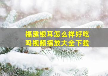 福建银耳怎么样好吃吗视频播放大全下载