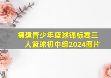 福建青少年篮球锦标赛三人篮球初中组2024图片