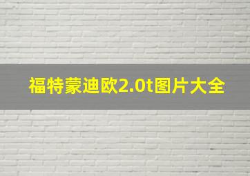 福特蒙迪欧2.0t图片大全