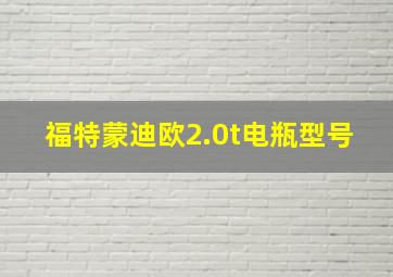 福特蒙迪欧2.0t电瓶型号