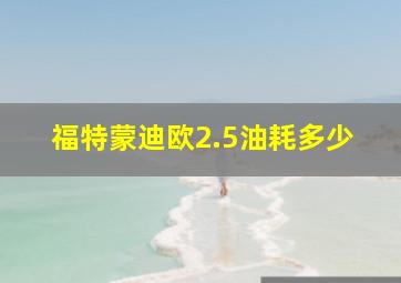 福特蒙迪欧2.5油耗多少