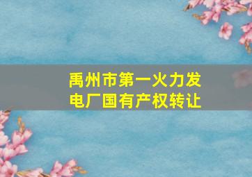 禹州市第一火力发电厂国有产权转让